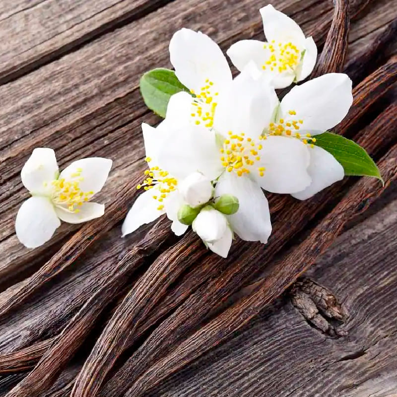 vainilla-flor